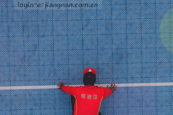 积分进度条与水墨风格的装饰图